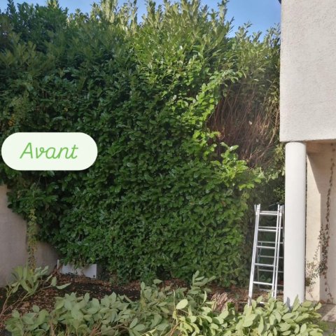 Entretien de jardin à BOURGOIN JALLIEU