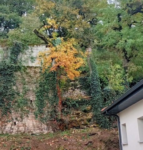 Elagage d'arbres en toute sécurité à Bourgoin Jallieu