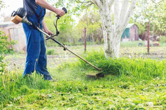 Débroussaillage d'un terrain en pente - Bourgoin-Jallieu - GREEN TOUCH