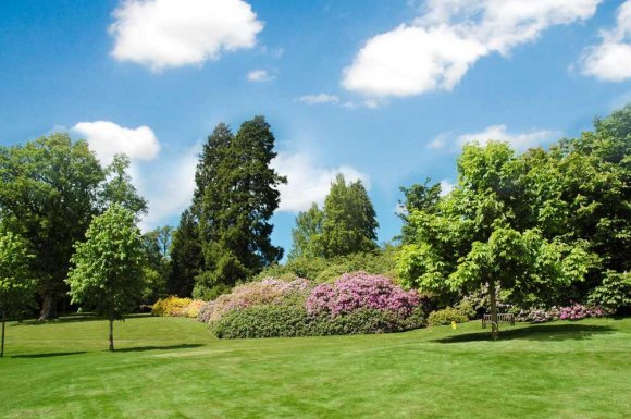 Jardinier pour l'entretien de massifs floraux - Bourgoin-Jallieu - GREEN TOUCH