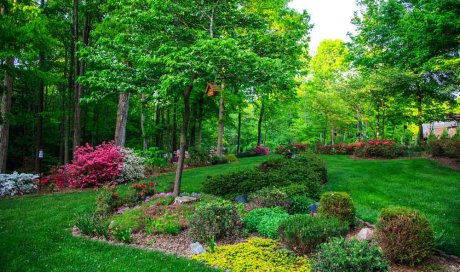 Créer un massif de fleurs dans un jardin - Bourgoin-Jallieu - GREEN TOUCH