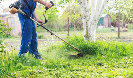 Débroussaillage d'un terrain en pente - Bourgoin-Jallieu - GREEN TOUCH