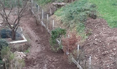 Aménagement d'un jardin - Mise en place d'un grillage souple avec soubassement béton à Saint-Cyr-au-Mont-d'or