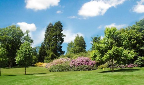 Jardinier pour l'entretien de massifs floraux - Bourgoin-Jallieu - GREEN TOUCH