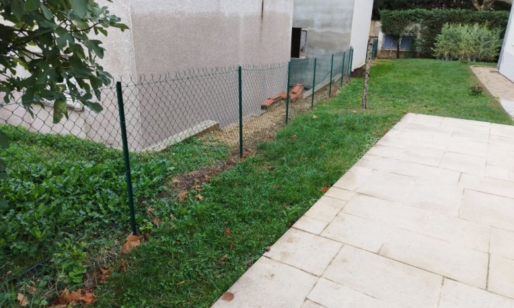 Plantation d'une haie de cyprès de Leyland à LYON