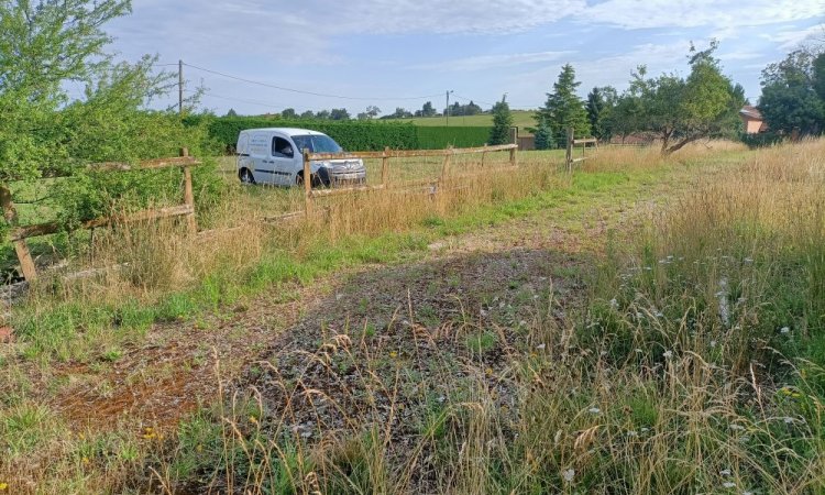 Taille des haies à BOURGOIN-JALLIEU