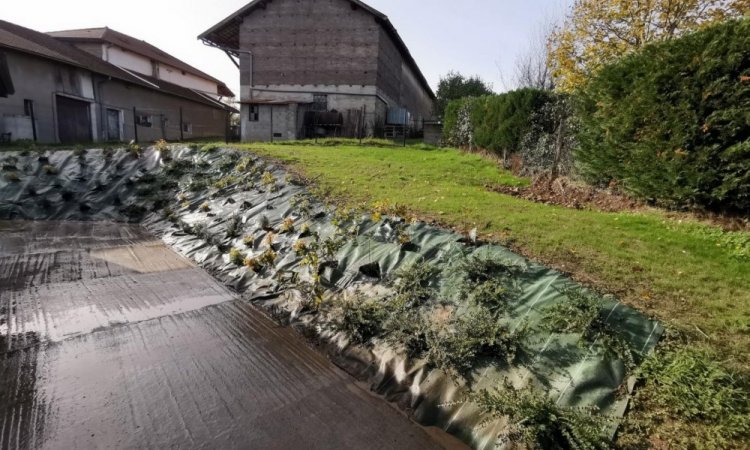 Aménagement d'un massif, pose de bâche et plantation à Bourgoin Jallieu