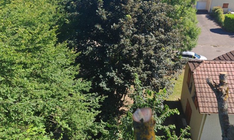 Chantier en hauteur - Démontage d'un frêne à Bourgoin Jallieu