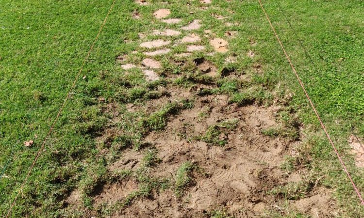 Aménagements extérieurs - Création d'une allée en pavés de travertins à la Tour-du-Pin