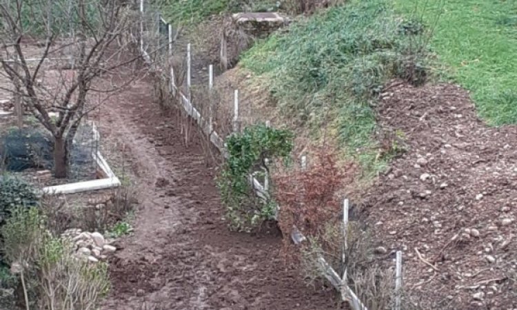 Aménagement d'un jardin - Mise en place d'un grillage souple avec soubassement béton à Saint-Cyr-au-Mont-d'or