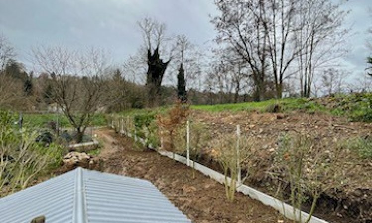 Aménagement d'un jardin - Mise en place d'un grillage souple avec soubassement béton à Saint-Cyr-au-Mont-d'or