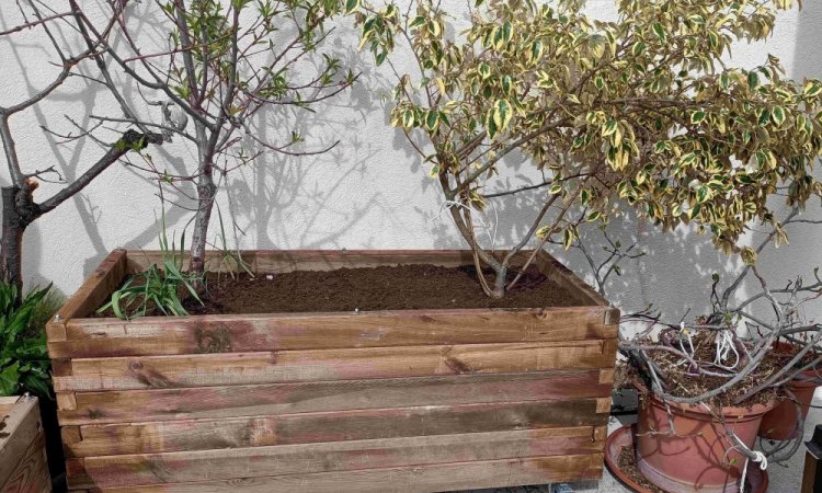 Installation et création de bac en bois sur mesure à Bourgoin-Jallieu