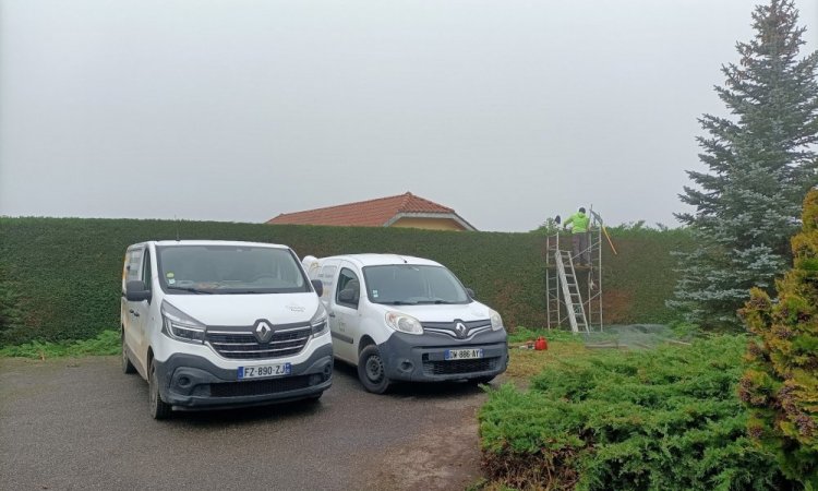 Taille d'une haie de cyprès de Leyland à Bourgoin-Jallieu